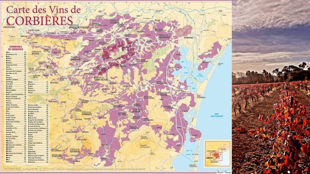 Carte viticole - Corbières