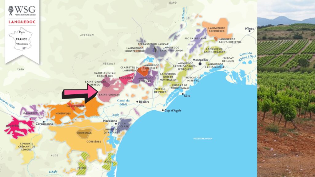 Carte viticole Languedoc-Roussillon - Saint-Chinian
