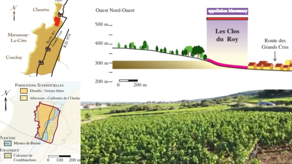 Carte viticole - Marsannay - lieu dit Les Clos du Roy