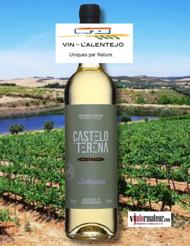 Castelo de Terena Selection, Vinho Regional Alentejano, Adega Cooperativa de Redondo, vin blanc, 2023 bouteille