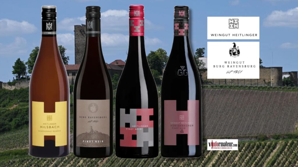 Weingut Burg Ravensburg : quand tradition millénaire et biodynamie se rencontrent