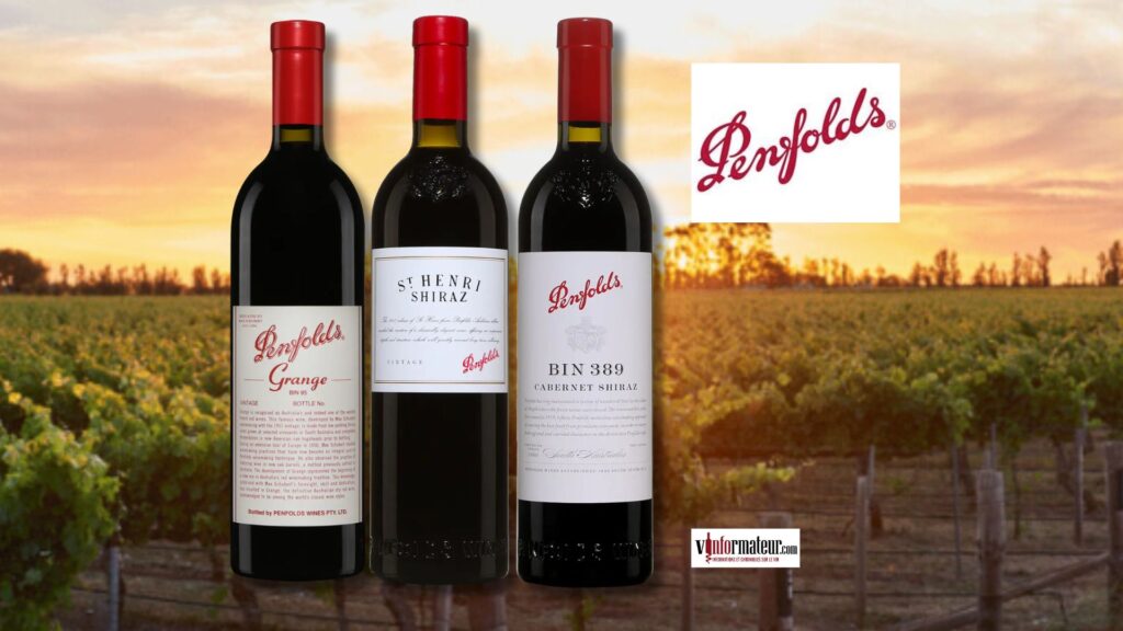 Penfolds au sommet : dégustation de Grange 2020, Bin 389 2022 et St-Henri 2021