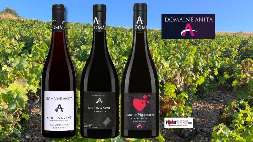 Trois expressions sublimes du cru Moulin-à-Vent signées Anita Neveu