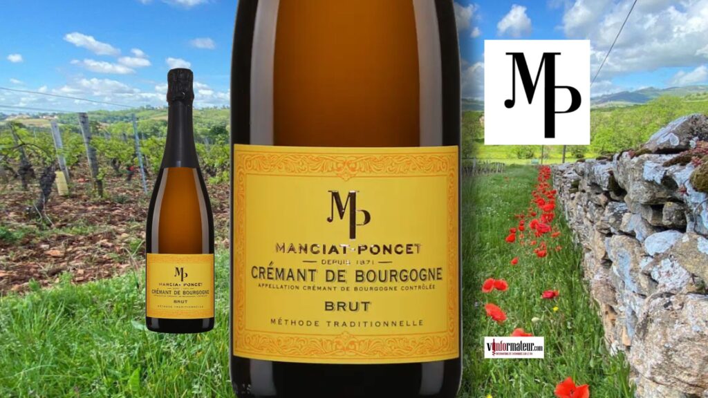 Crémant de Bourgogne Manciat-Poncet Brut : l’élégance des bulles bourguignonnes à 30 $