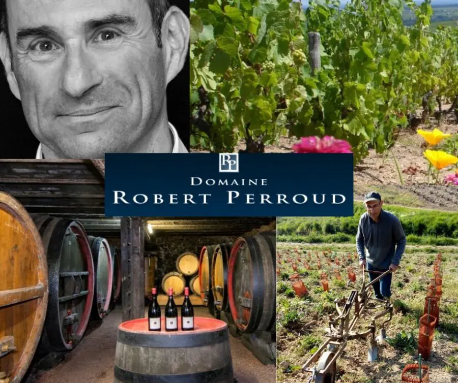 Domaine Robert Perroud: Robert Perroud, chai et vignobles