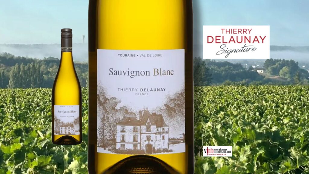 Croquant, vif, délicieux : le Sauvignon de Touraine 2024 par Thierry Delaunay