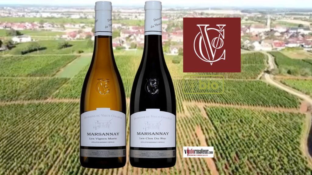Marsannay 2023 : Les Vignes Marie & Les Clos du Roy, un duo signé Domaine du Vieux Collège.