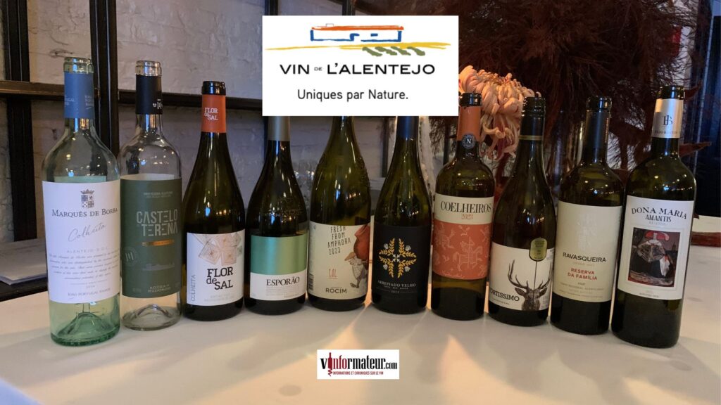 Alentejo : pourquoi cette grande région du Portugal s’impose parmi les plus passionnantes