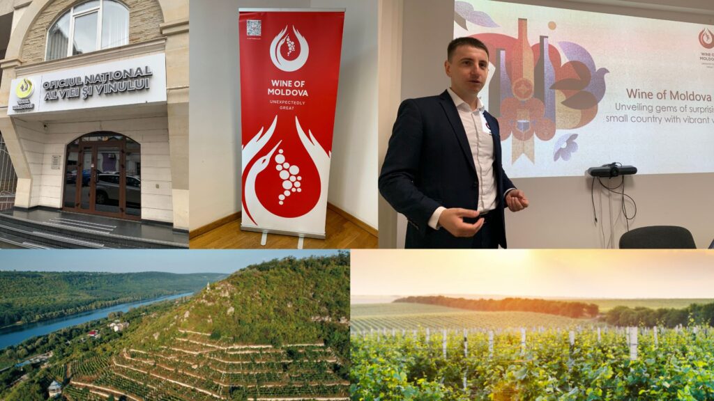 Rencontre avec l'organisme Wine of Moldova