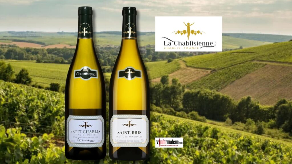 Deux terroirs, une signature minérale : Saint-Bris et Petit Chablis selon La Chablisienne