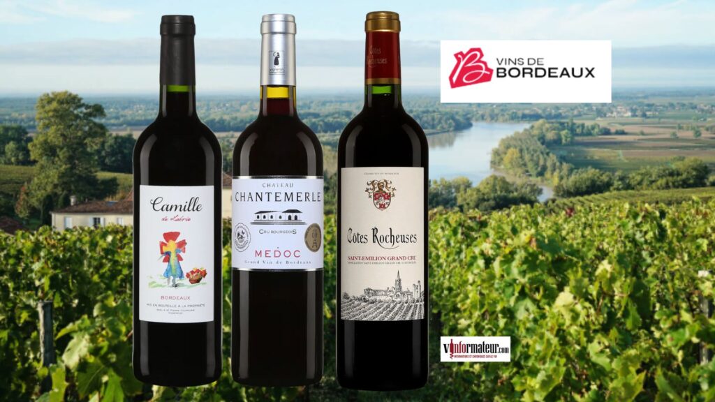 Bordeaux en trois visages : Bordeaux AOC, Médoc AOC – Cru Bourgeois et Saint-Émilion Grand Cru AOC