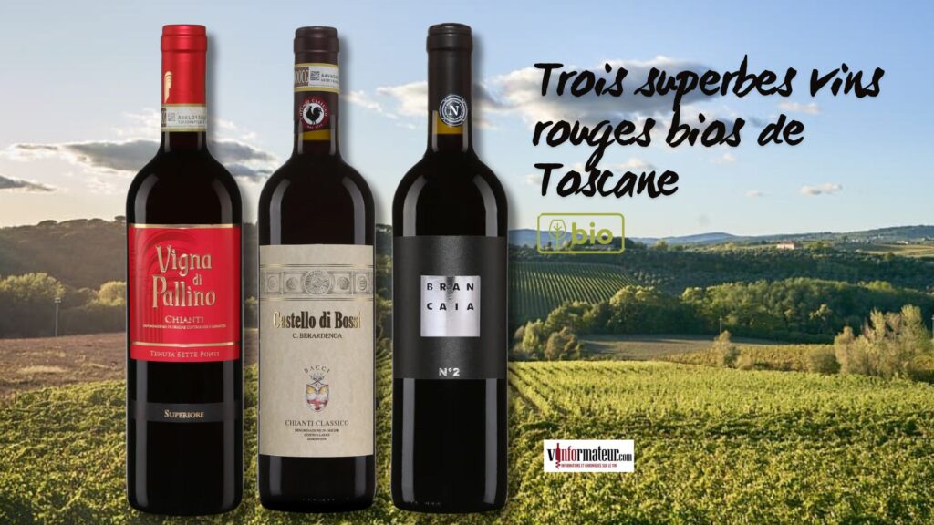 Trois superbes vins rouges bio de Toscane : Chianti, Chianti Classico et Maremma.