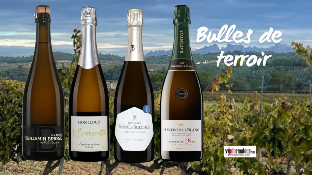 Bulles de terroir : Nouvelle-Écosse, Loire, Alsace et Catalogne en quatre mousseux de caractère
