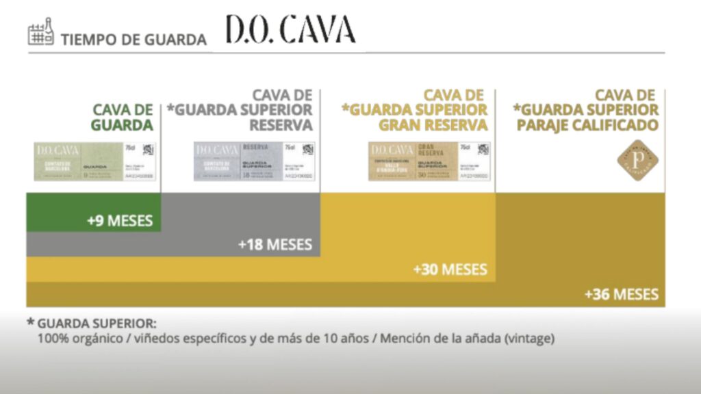 Classification Cava
