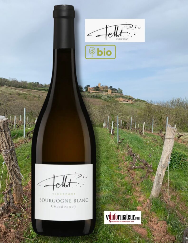 Chardonnay, Bourgogne blanc (Beaujolais), Domaine Emmanuel Fellot, vin blanc bio, 2024 bouteille