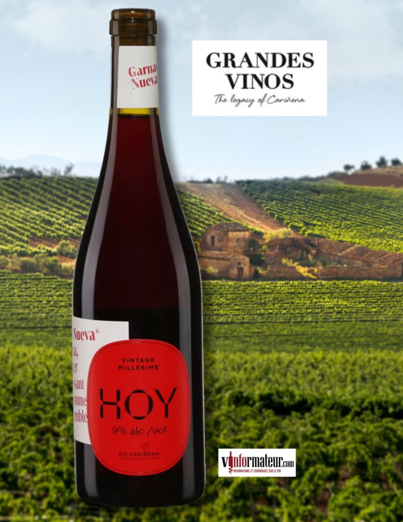 Hoy, Garnacha Nueva, Espagne, Carinena DO, vin rouge, 2024 bouteille