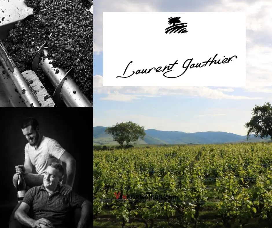 Domaine Laurent Gauthier