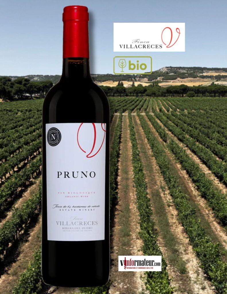 Pruno, Espagne, Ribera del Duero, Finca Villacreces, vin rouge bio, 2022 bouteillle