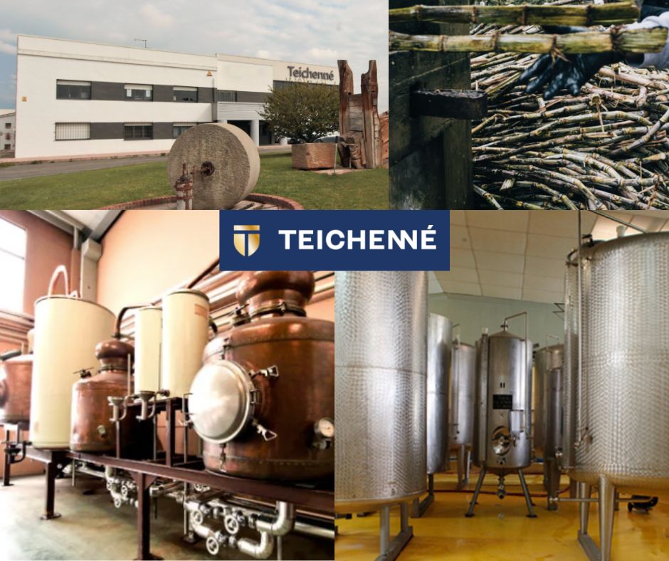 Teichenné - chai/alambic