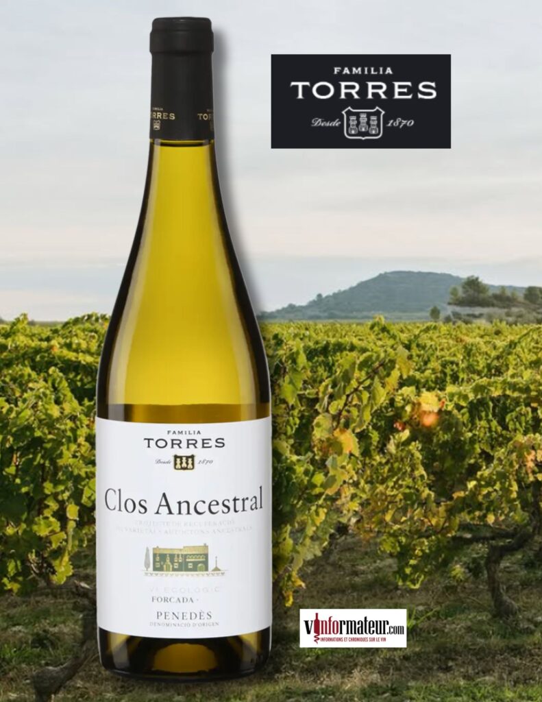 Torres, Clos Ancestral, Espagne, Catalogne, Penedès, vin blanc, 2024 bouteille