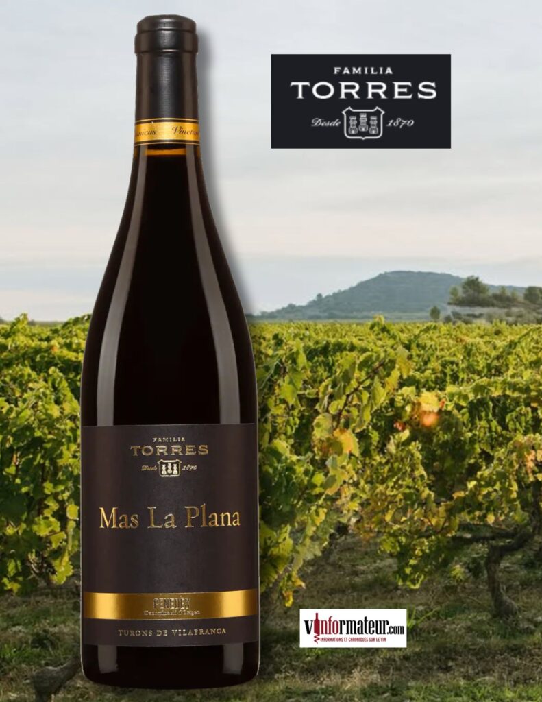 Torres, Mas la Plana, Espagne, Catalogne, Penedès, vin rouge, 2019 bouteille