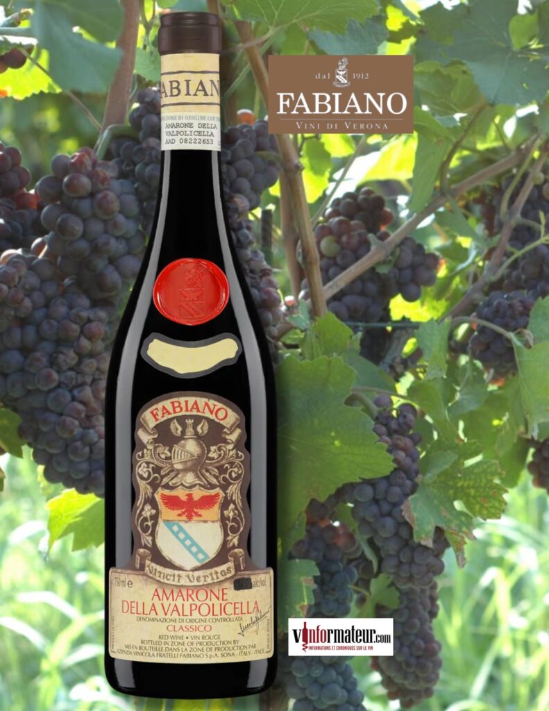 Fabiano, Amarone della Valpolicella Classico, Vénétie, vin rouge, 2021 bouteille