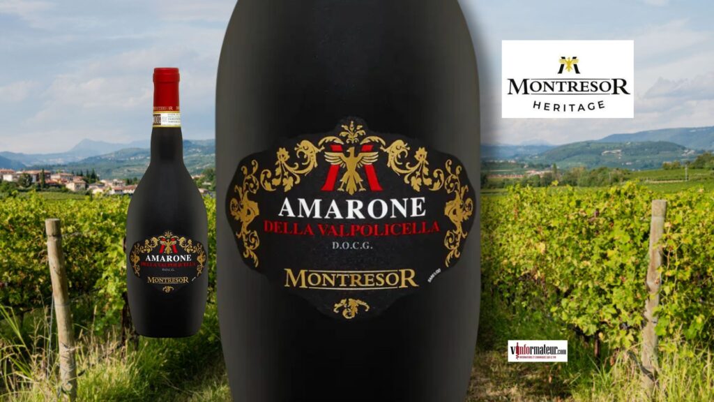 Amarone Satinato de Montresor 2022 : un classique de Valpolicella au riche héritage