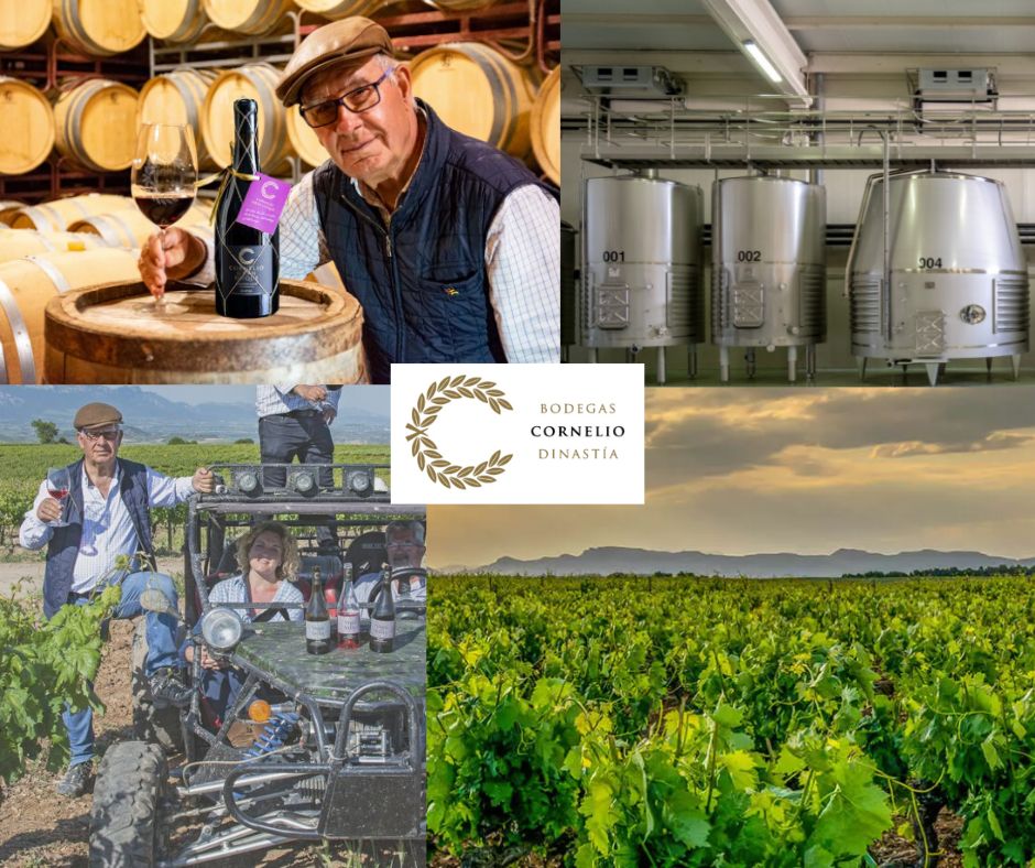 Bodegas Cornelio Dinastia: chai et vignobles