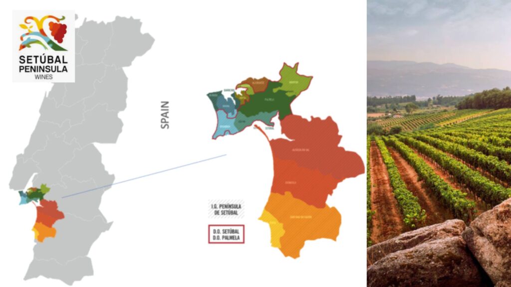 Carte viticole Peninsule de Setubal