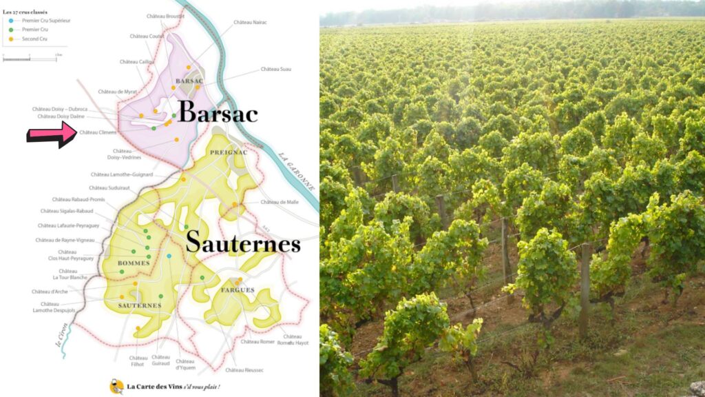 Carte viticole Barsac