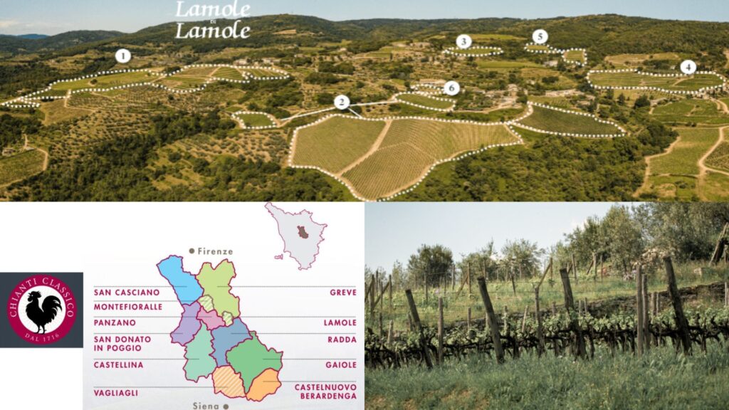 Carte viticole Lamole di Lamole