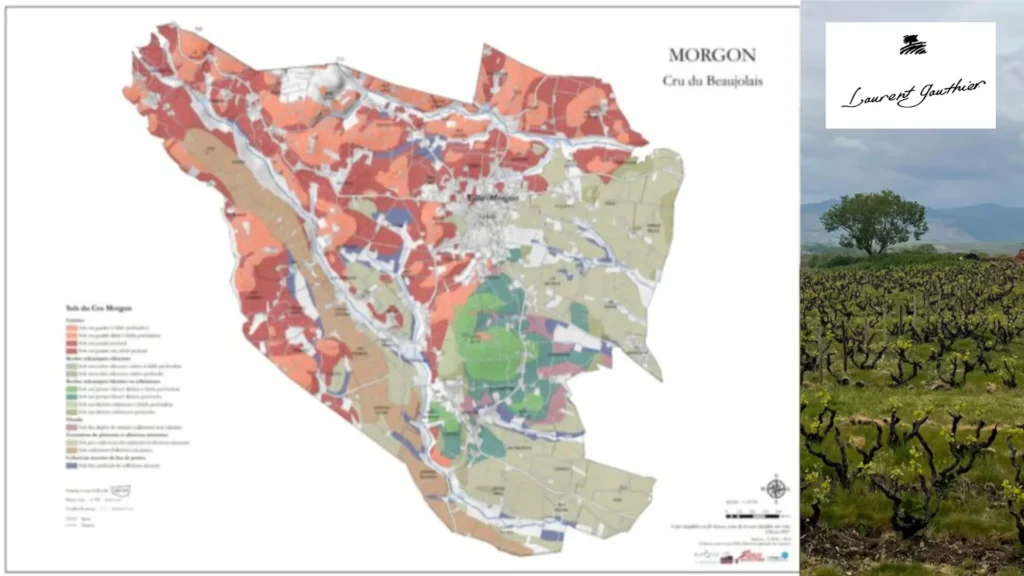 Carte viticole Cru Morgon
