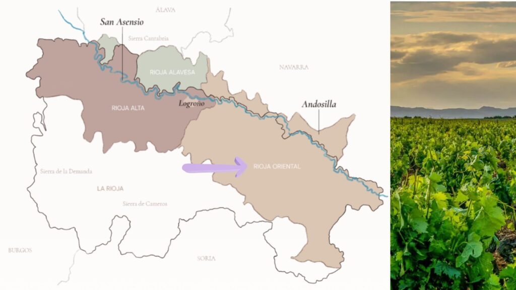 Carte viticole Rioja
