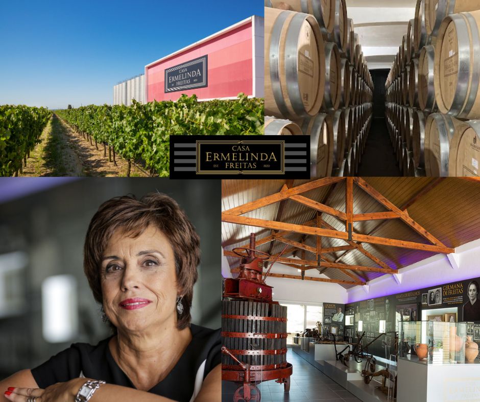 Casa Ermelinda Freitas: Leonor Freitas, chai, vignobles.