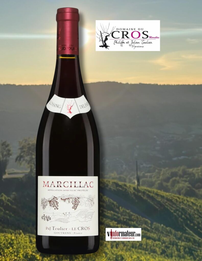 Domaine du Cros, Lo Sang del Pais, France, Sud-Ouest, Marcillac, 2023 bouteille