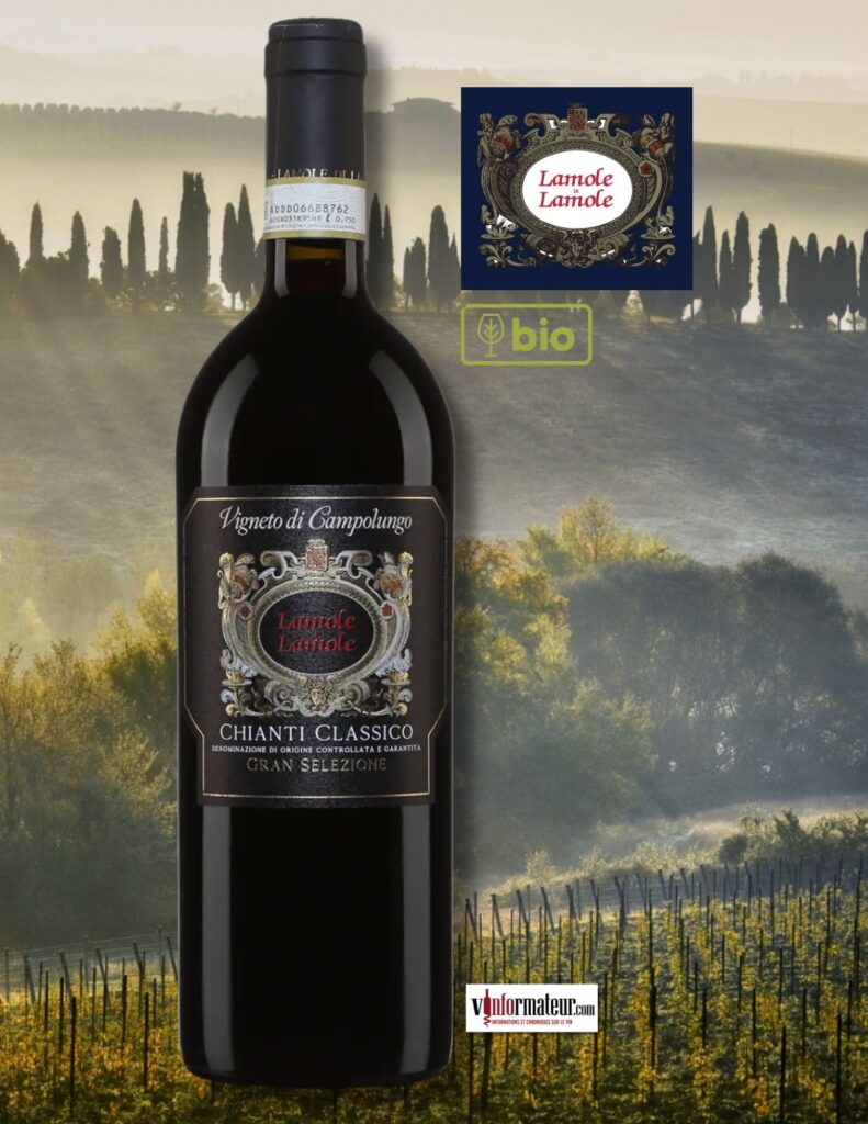 Vigneto di Campolungo, Chianti Classico DOCG, Gran Selezione, vin rouge bio, 2020 bouteille