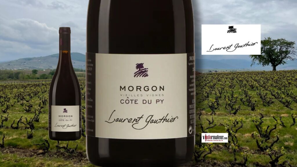 Morgon Côte du Py 2023 : la précision éclatante de Laurent Gauthier
