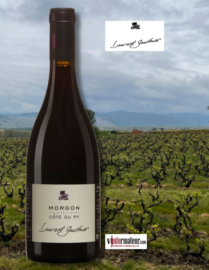 Morgon, Côte du Py, Vieilles Vignes, Beaujolais, Laurent Gauthier, vin rouge, Terra Vitis, 2023 bouteille