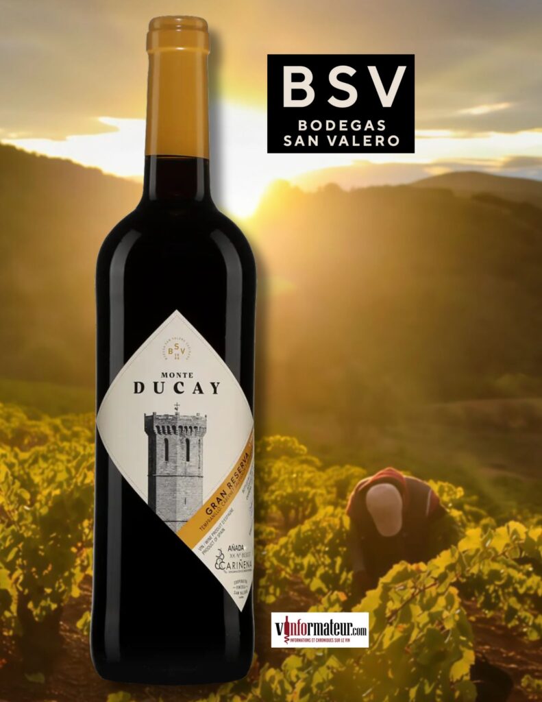 Monte Ducay, Gran Reserva, Espagne, Carinena, vin rouge, 2017 bouteille