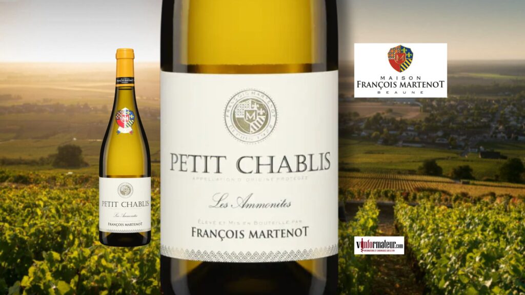 Petit Chablis Les Ammonites 2024 : fraîcheur, tension et minéralité