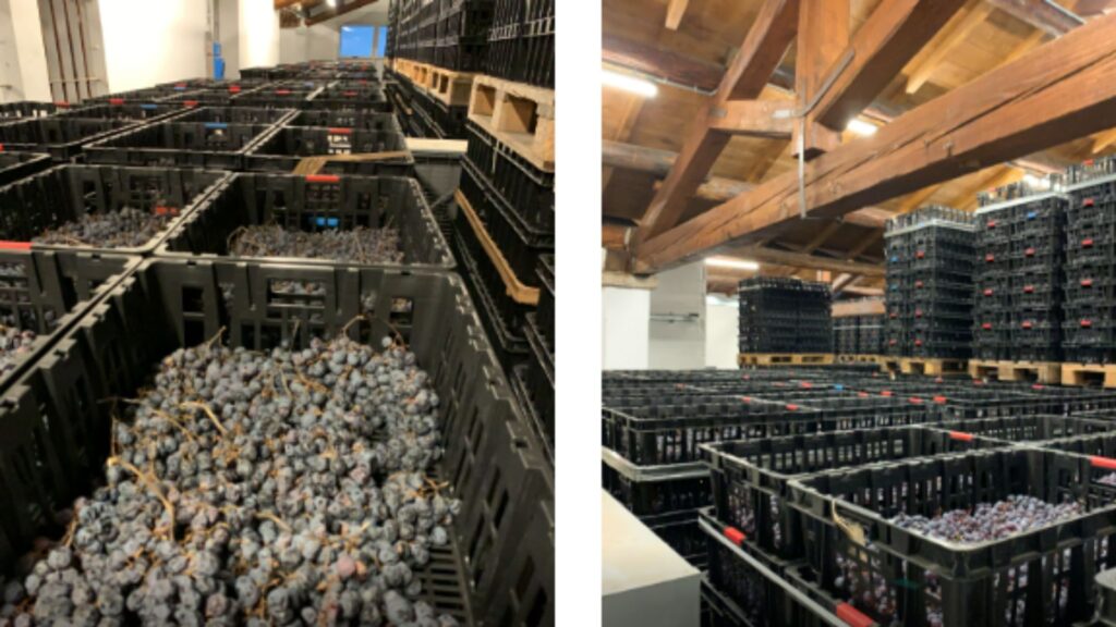 Séchage selon la méthode appassimento