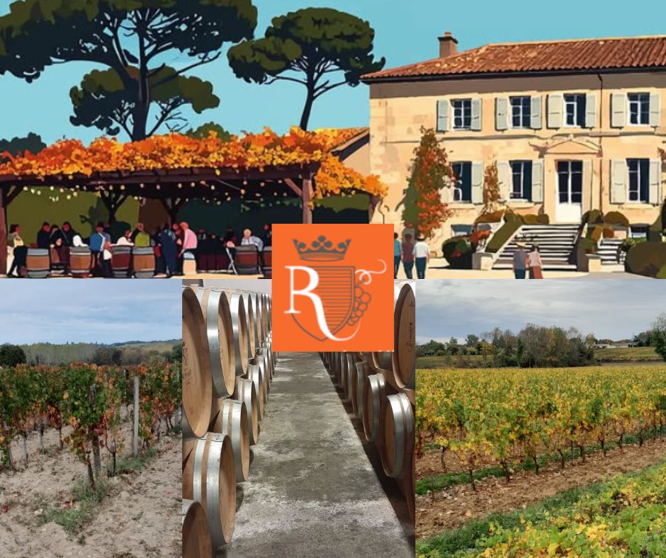 Vignobles Reynaud: chai et vignobles