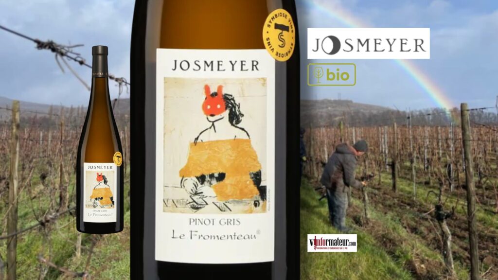 Josmeyer, Le Fromenteau 2020 : quand le Pinot Gris d’Alsace gagne en profondeur et en élégance.