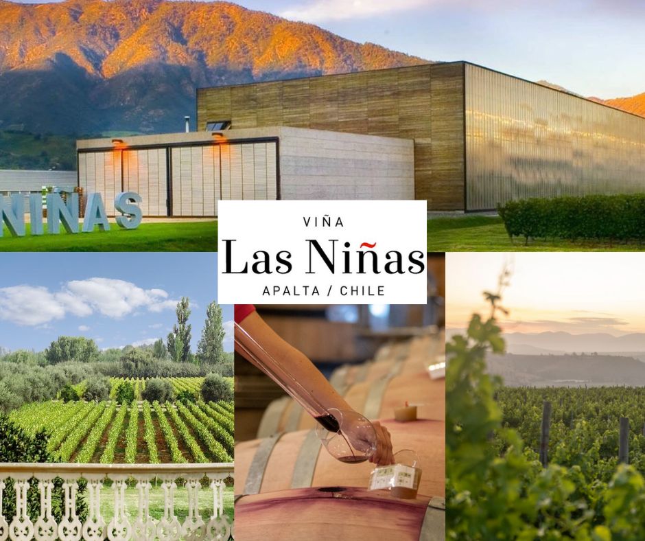 Vina Las Niñas: chai et vignobles