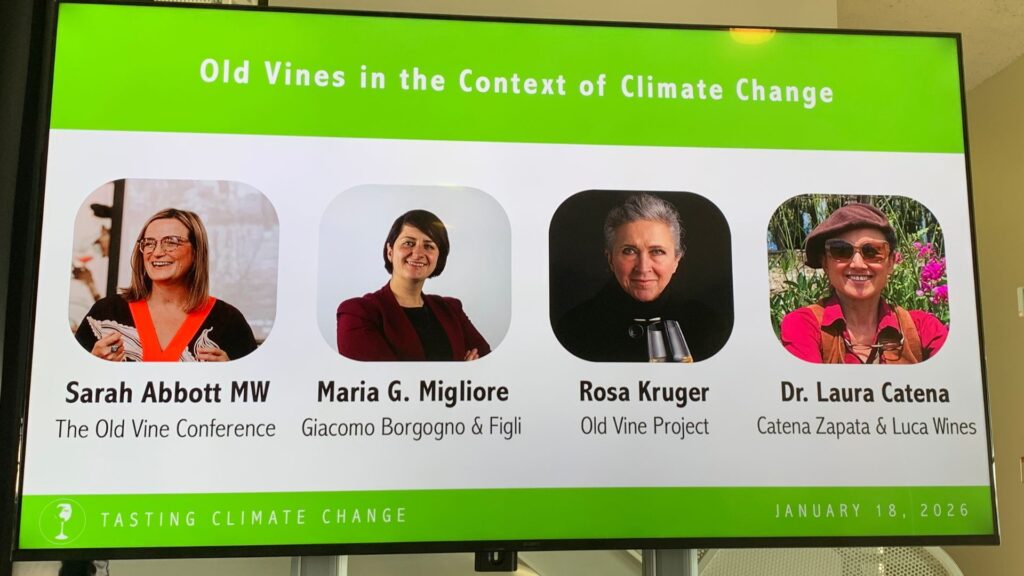 Masterclass Les vieilles vignes face aux changements climatiques, réunissait Sarah Abbott MW (The Old Vine Conference), Maria G. Migliore (Giacomo Borgogno & Figli), Rosa Kruger (Old Vine Project) ainsi que la Dre Laura Catena (Catena Zapata & Luca Wines).