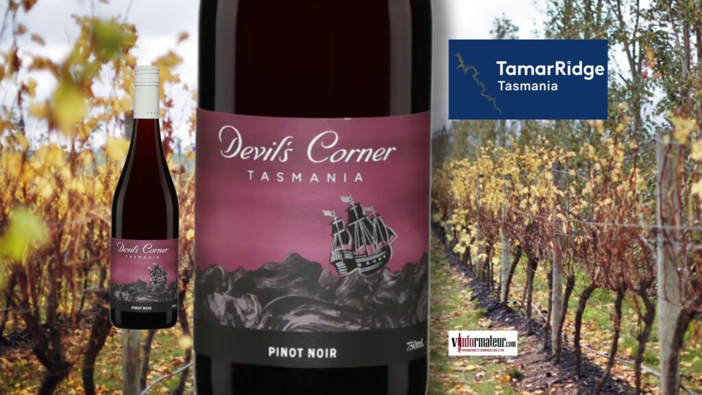 Devil’s Corner Pinot Noir 2024 : la fraîcheur sauvage de la Tasmanie