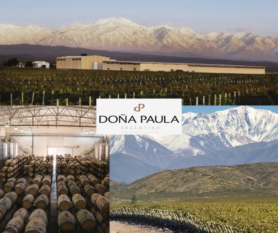 Dona Paula: chai et vignobles