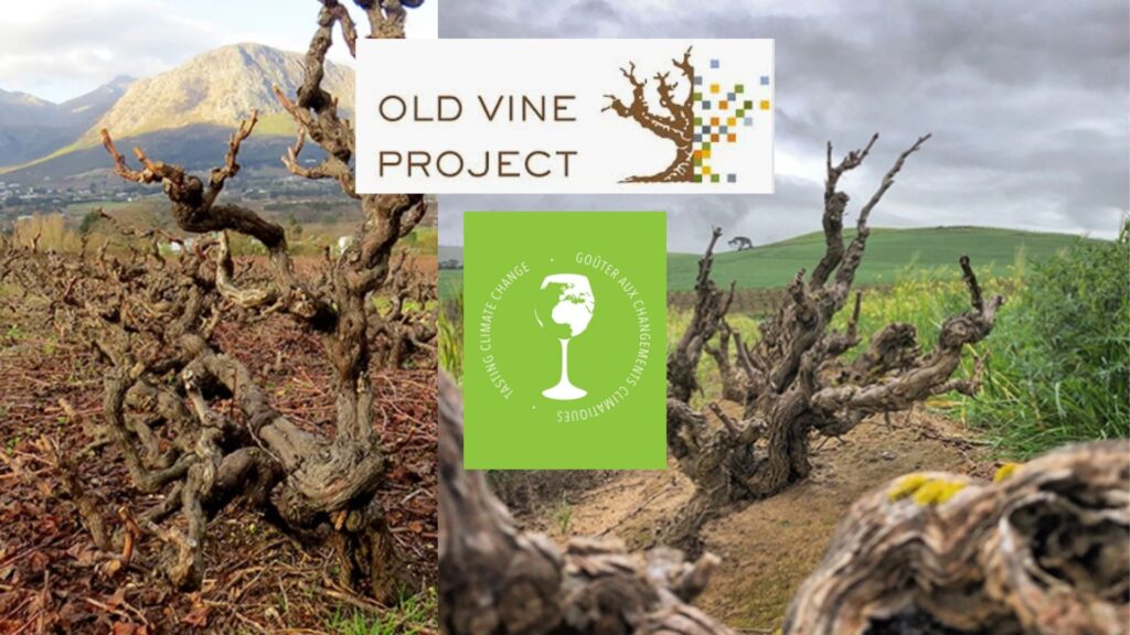 Photos: site web Old Vine Project