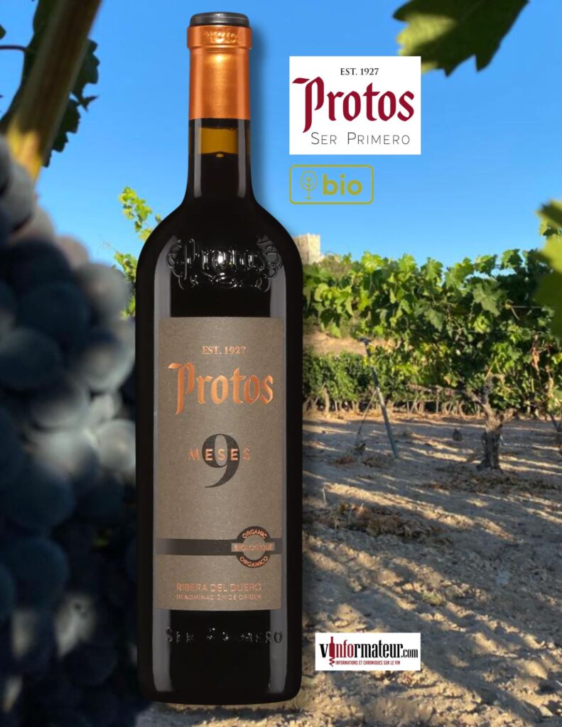Protos, 9 Meses, Espagne, Ribera del Duero DO, vin rouge bio, 2022 bouteille