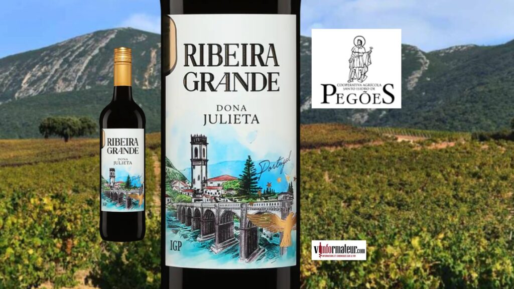 Dona Julieta 2022 : un rouge portugais authentique et distinctif